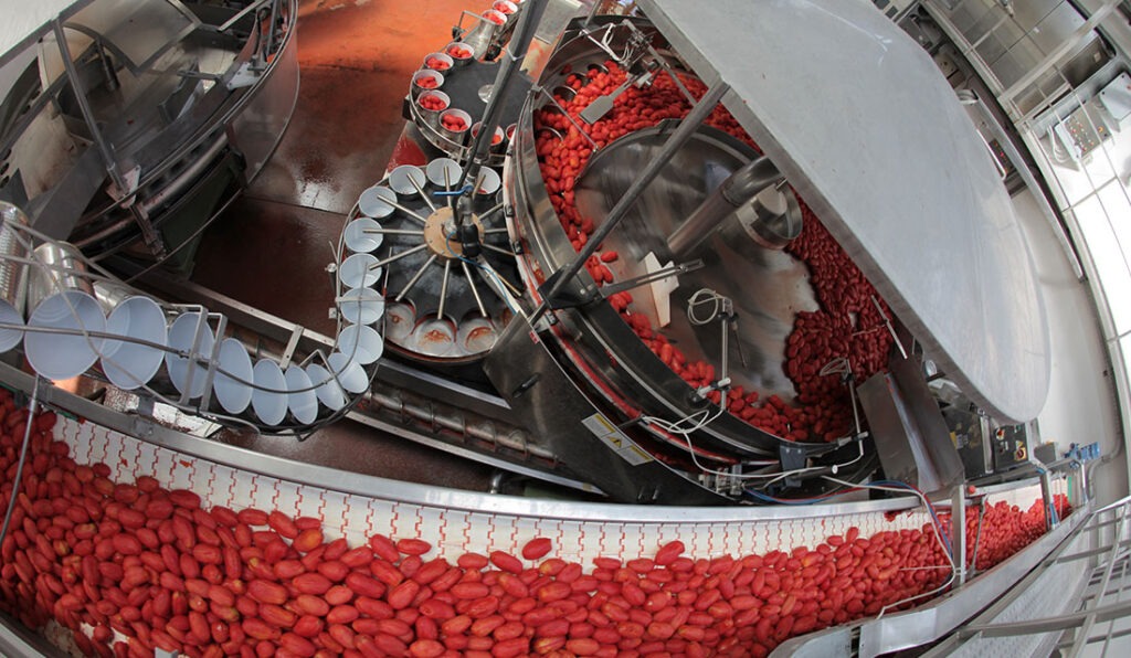 Gallery_Materials_frozen_pizza_lentini_curve_inserbo_vol2